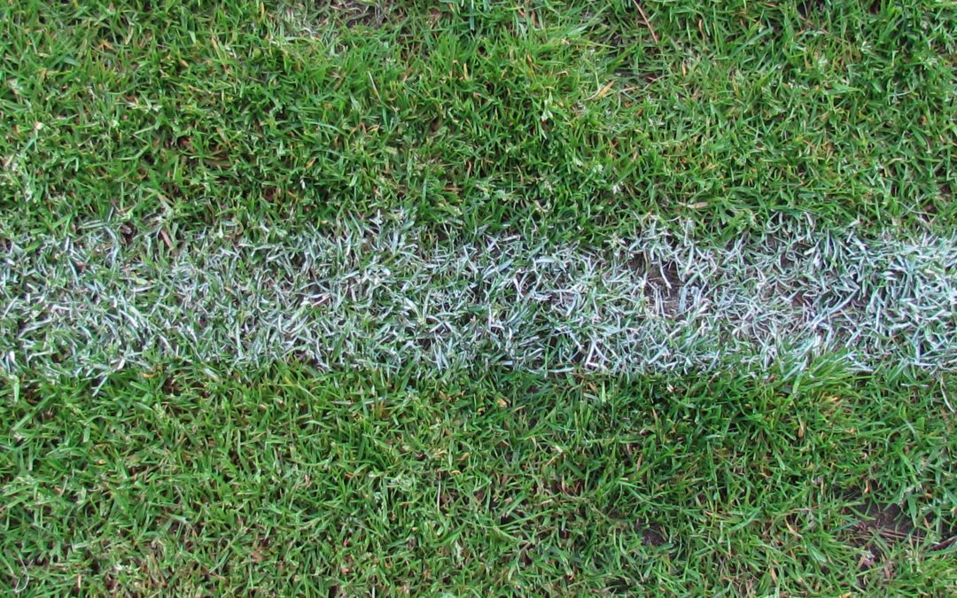 Sportplatz in Seeburg kann ausgebaut werden