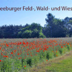 Absage Seeburger Feld-, Wald- und Wiesenlauf - der Corona-Verscheuch-Lauf bleibt bestehen